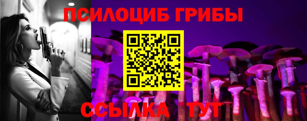 Галлюциногенные грибы Psilocybine cubensis  Вход с VPN  Мариинск 
